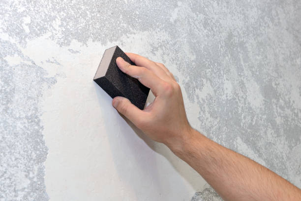 Best Mold Prevention Services  in Fox Lake, WI