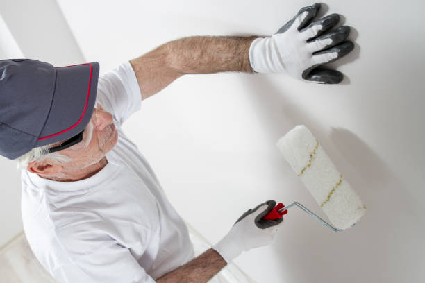 Best Mold Damage Restoration  in Fox Lake, WI