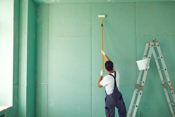 Best Black Mold Removal  in Fox Lake, WI