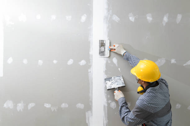 Professional Mold Removal in Fox Lake, WI