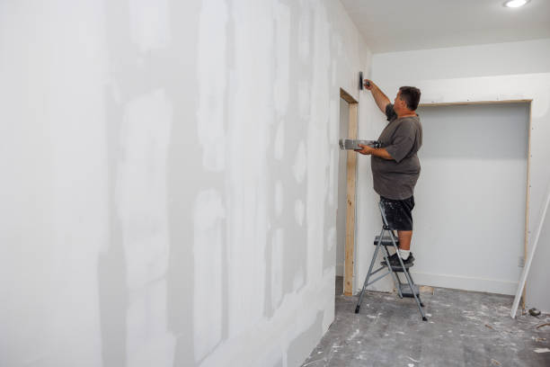 Mold Remediation for Rental Properties in Fox Lake, WI