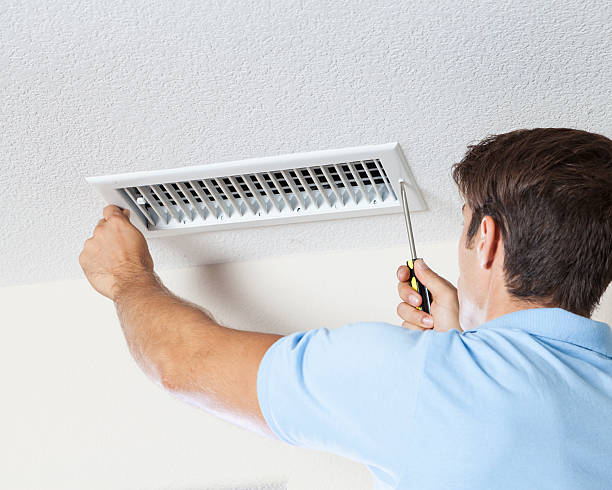 Best Mold Remediation for Healthcare Facilities  in Fox Lake, WI