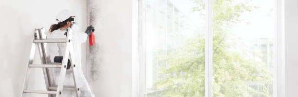 Best Mold-Related Health Consultation  in Fox Lake, WI