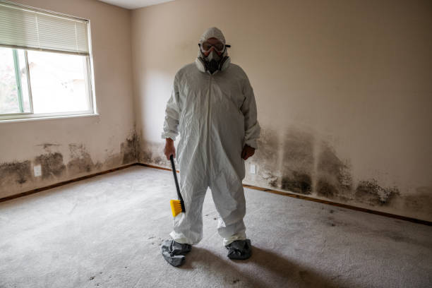 Best Asbestos and Lead Testing During Mold Inspection  in Fox Lake, WI