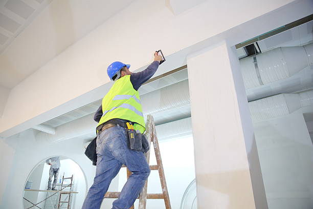 Best Environmental Consulting for Mold Prevention  in Fox Lake, WI