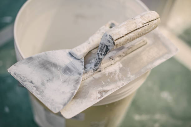 Best Water Damage & Mold Remediation  in Fox Lake, WI