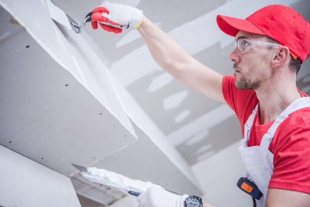 Best Mold Remediation for Healthcare Facilities  in Fox Lake, WI