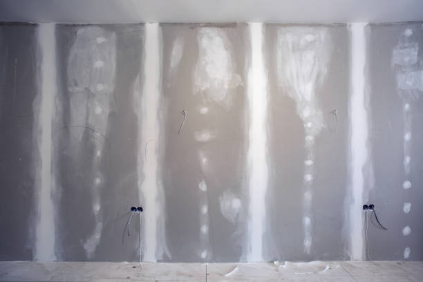 Best Post-Construction Mold Inspection  in Fox Lake, WI